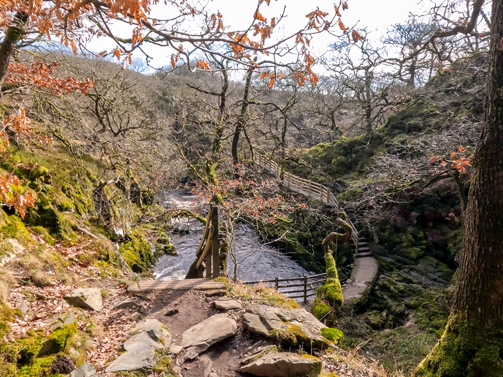 Concrete path and steps on the Ingleton Falls Trail