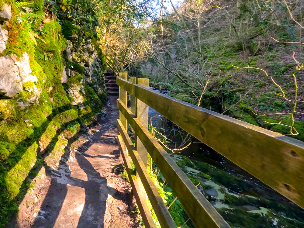 Fenced path and steps on the path beside the River Twiss on the Ingleton Waterfalls Trail