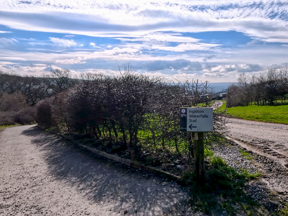 As the track splits, head left following the Ingleton Waterfalls Trail sign