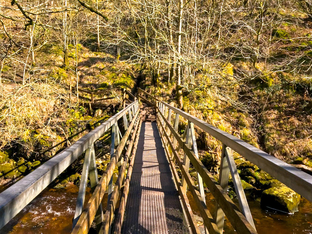 Footbridge crossing over the River Twiss