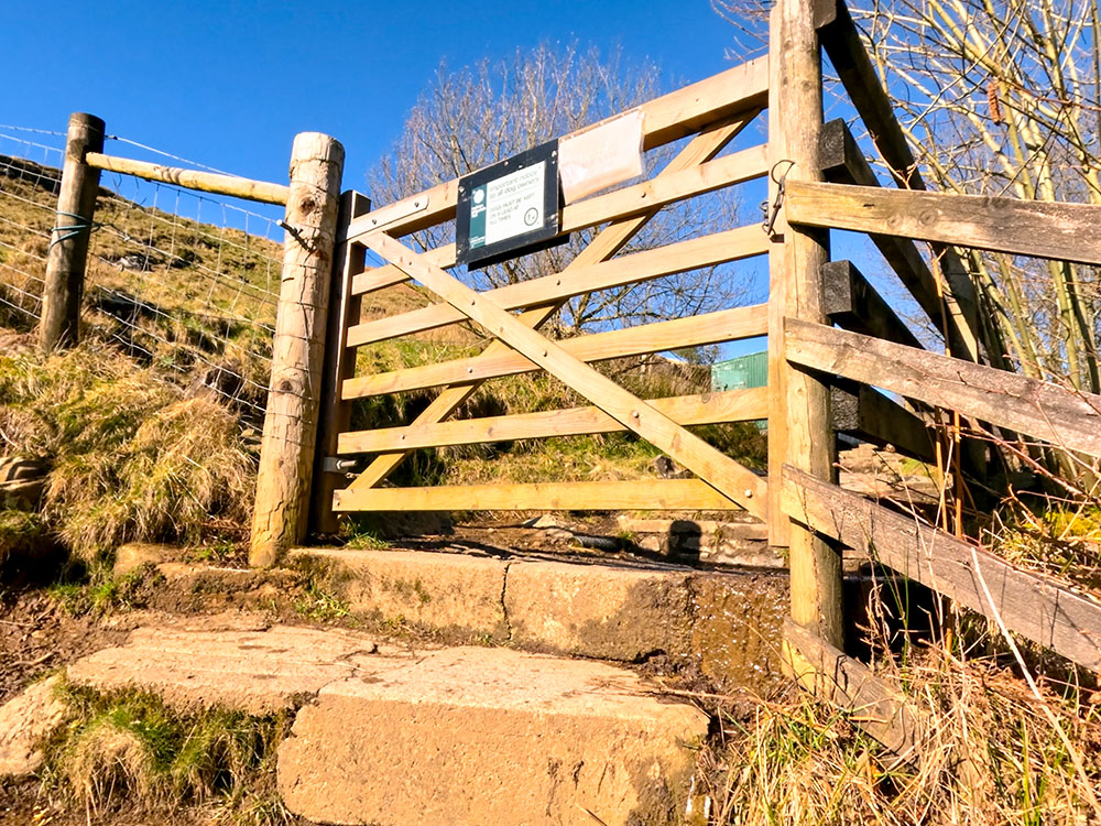 Gate heading out of the woods