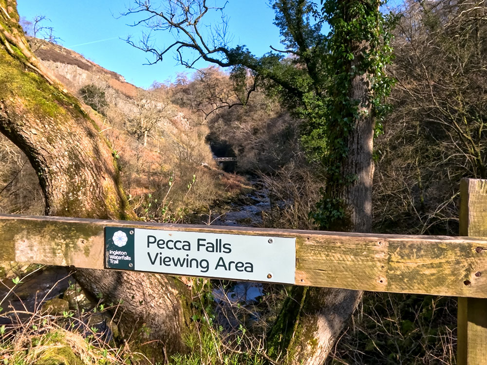 Initial Pecca Falls Viewing Area