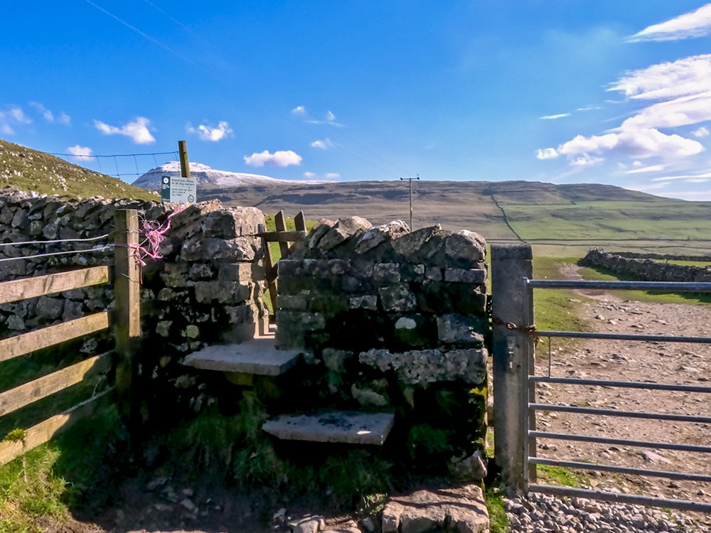 Pass over the stile in the wall, with Ingleborough ahead