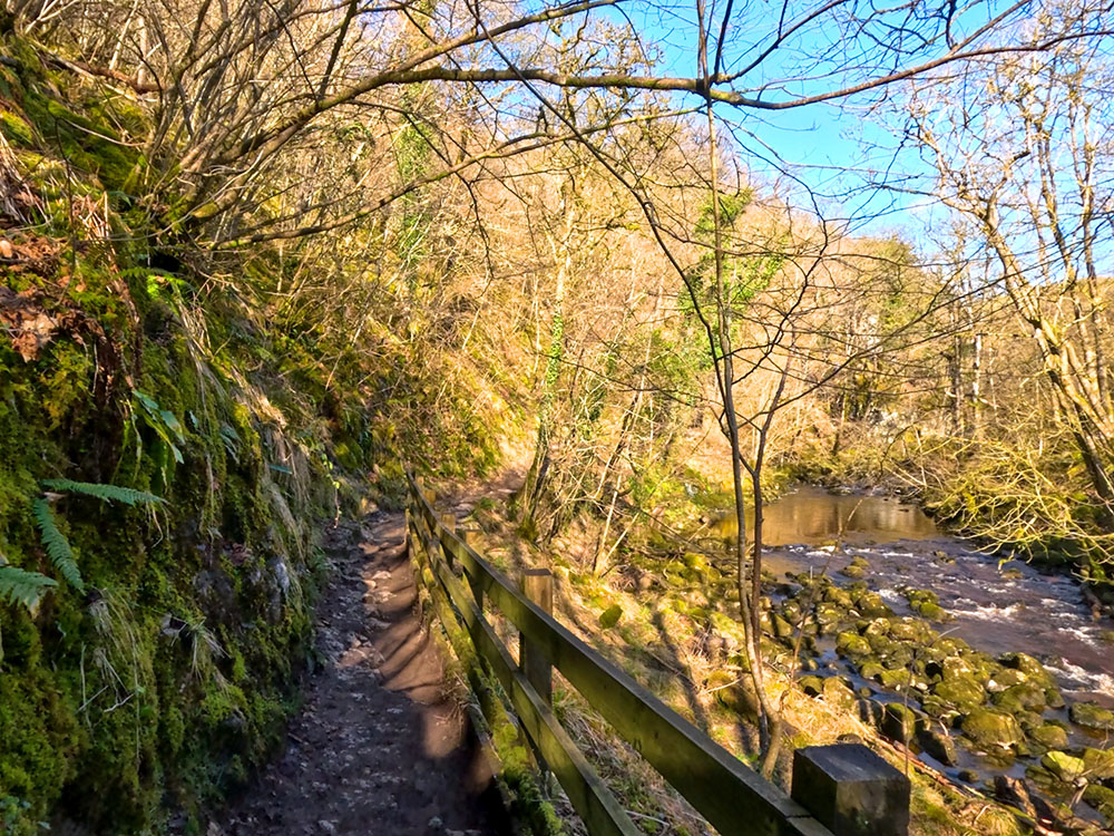 Path between moss-covered rocks and a fence heading alongside the River Twiss on the Ingleton Waterfalls walk