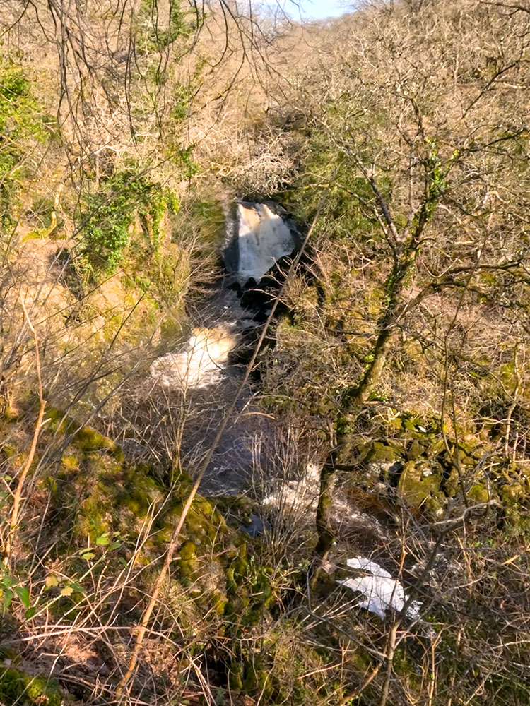 Snow Falls on the Ingleton Waterfalls Trail