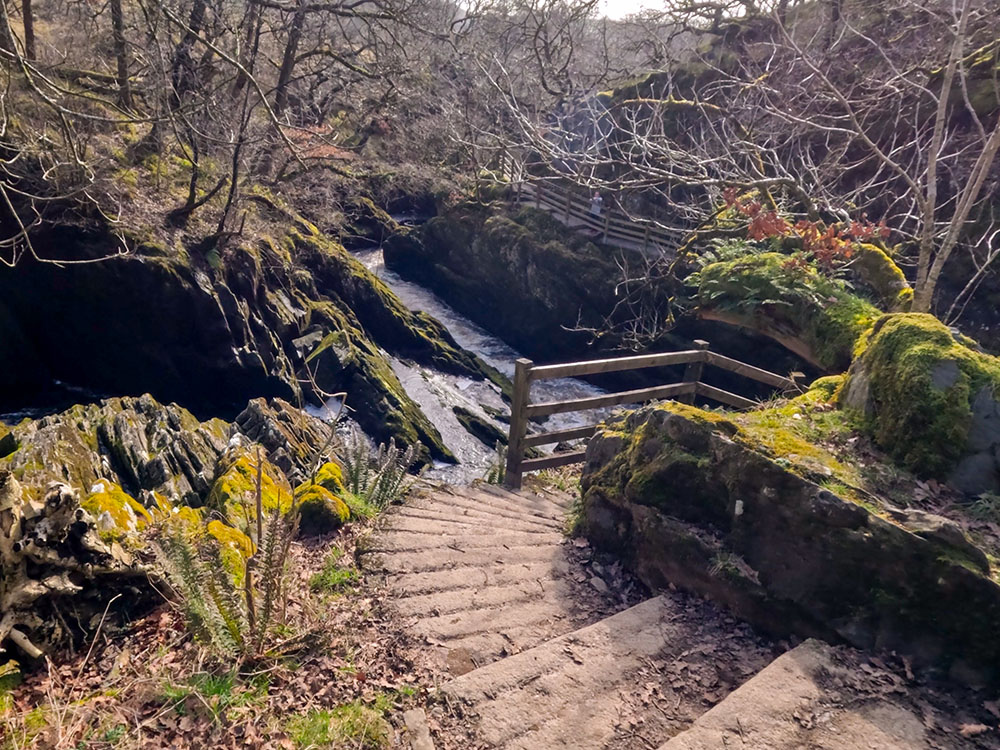 Steps heading down alongside Beezley Falls