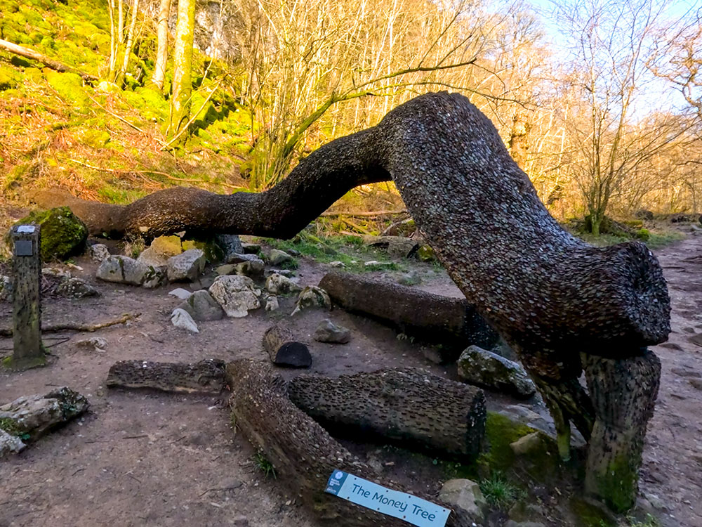 The 'money tree' at the side of the path