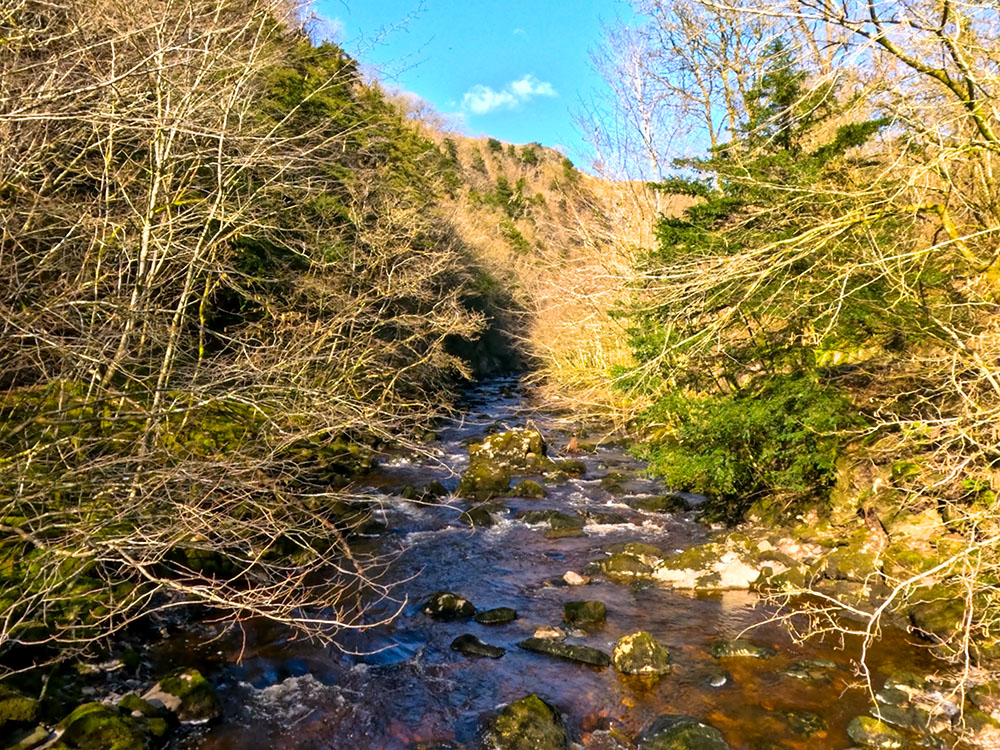 View from the footbridge over the River Twiss