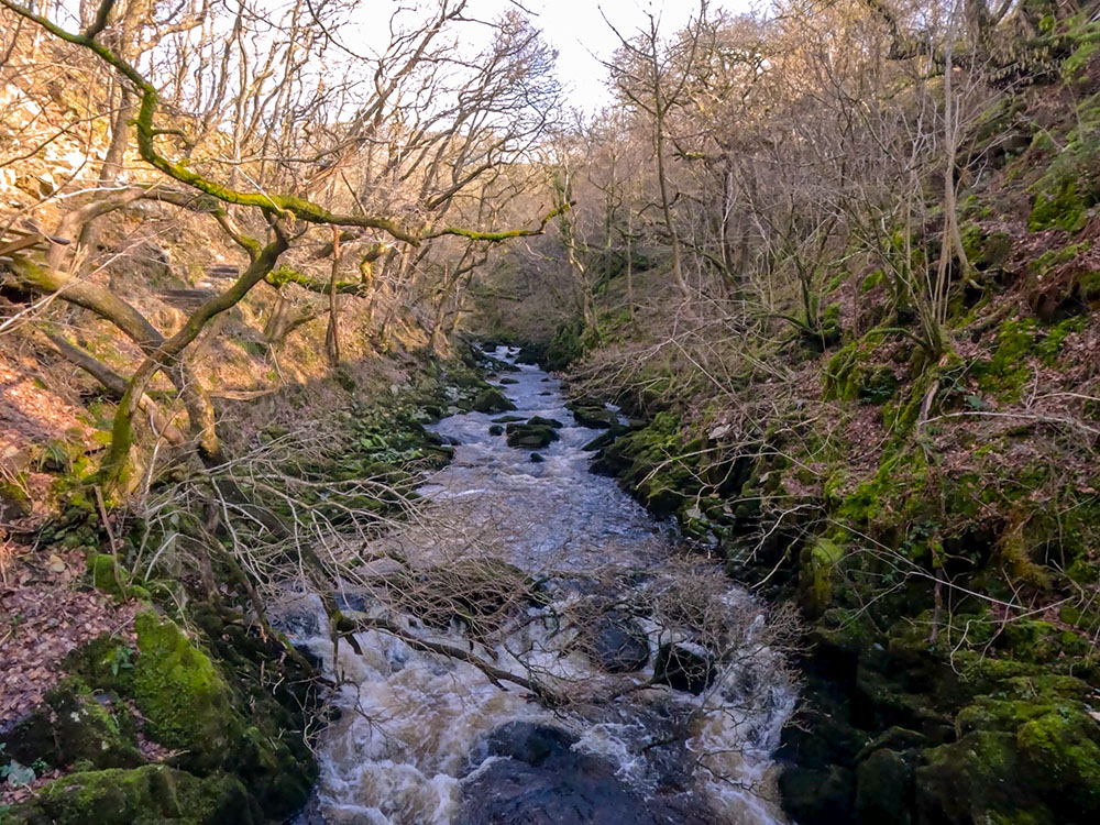 View from the footbridge on the Ingleton Waterfalls Trail