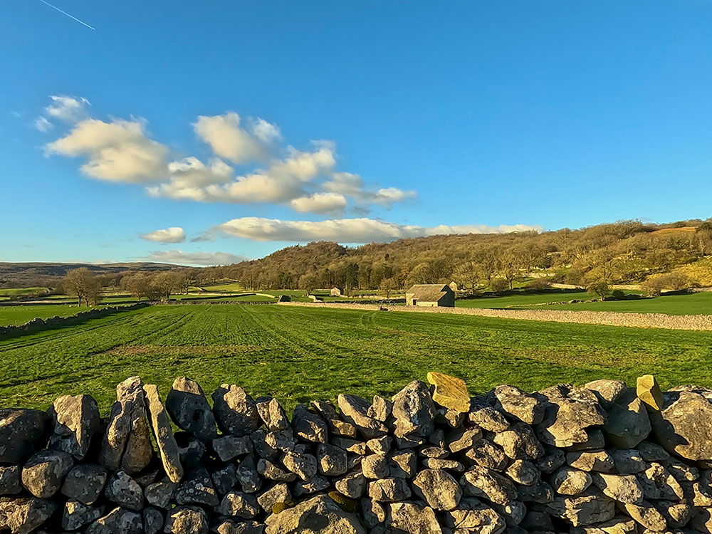 The view back towards Grass Wood from Cove Lane