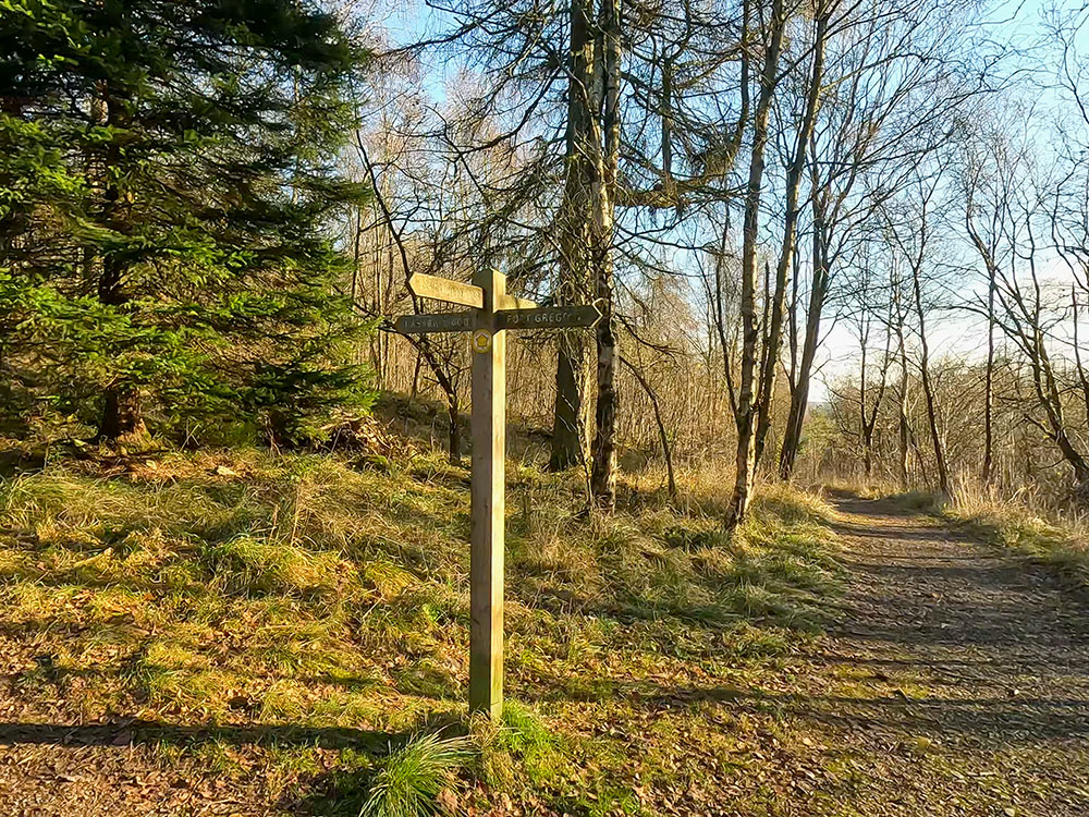 4-way footpath sign in Grass Wood