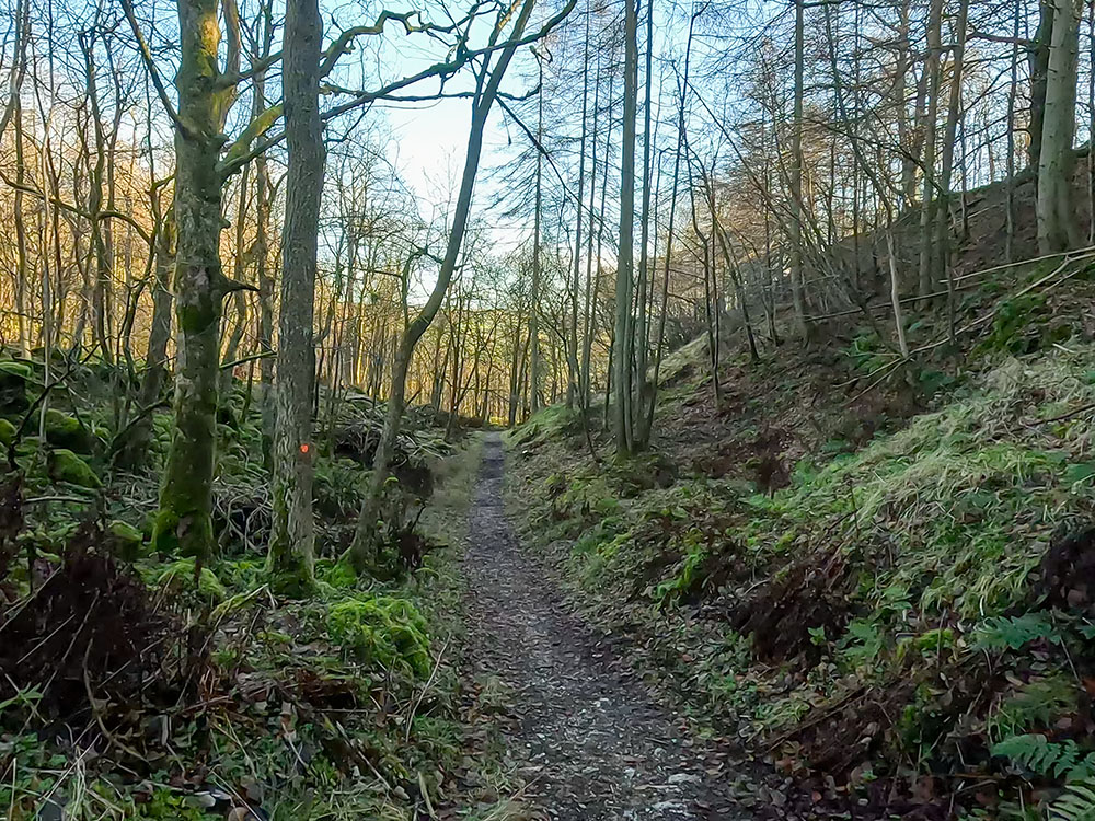 Footpath heading down out of Grass Wood