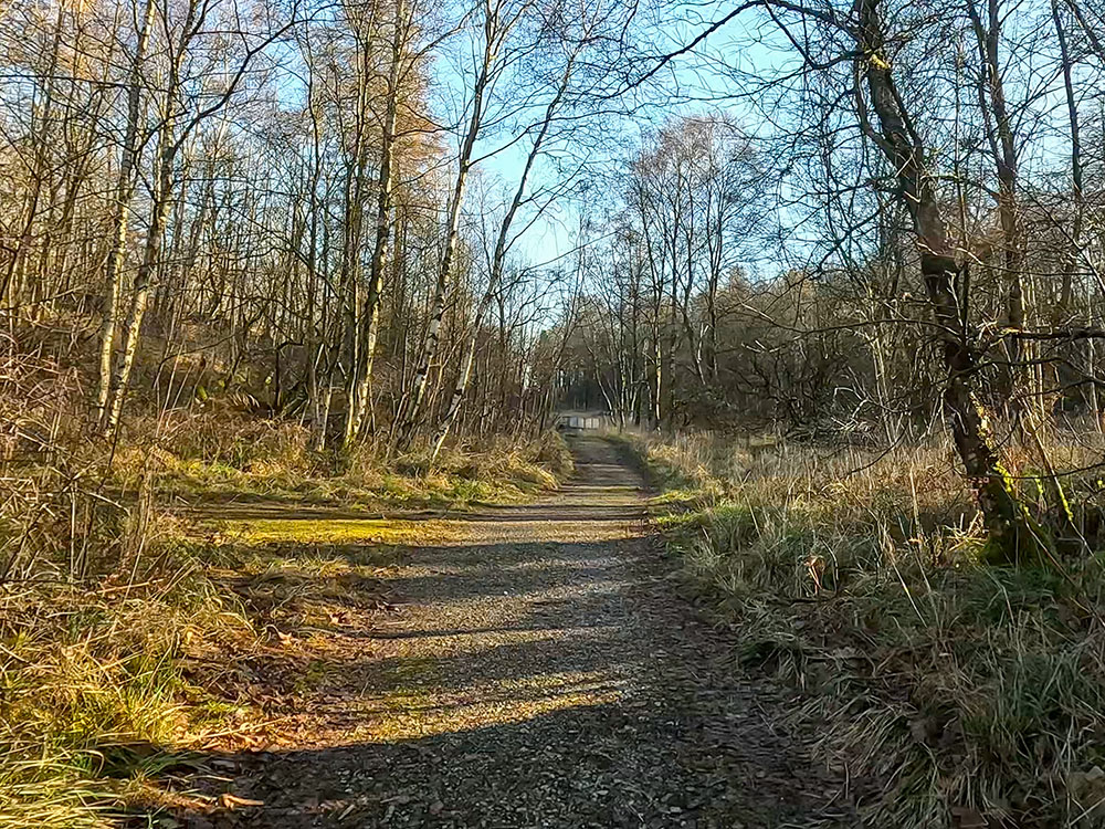 Footpath heading through Grass Wood