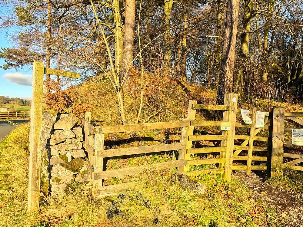 Footpath sign heading into Grass Wood