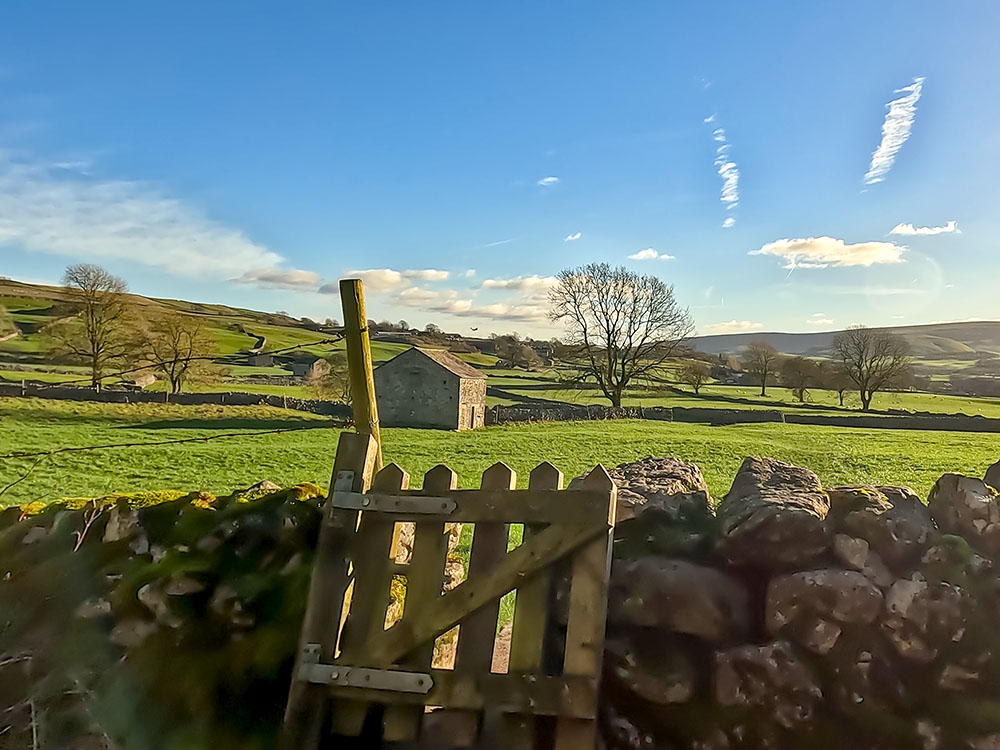 Gate stile in the wall to exit Grass Wood