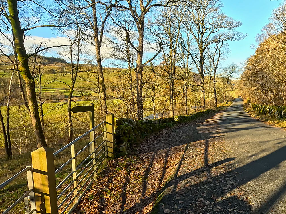 Grass Wood Lane