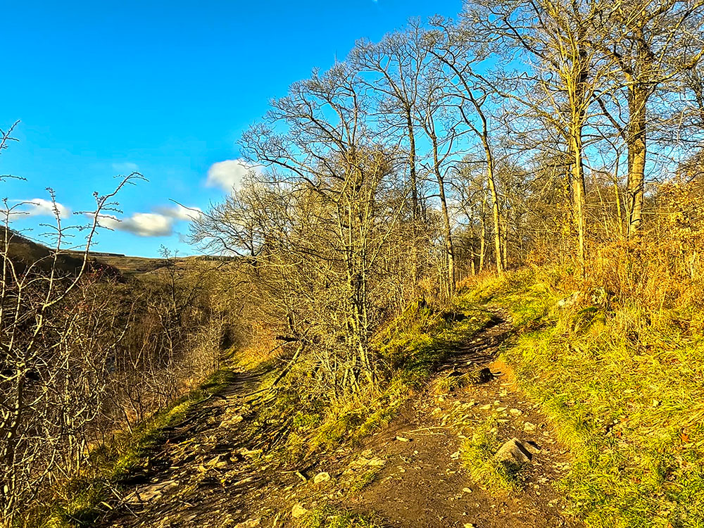 The path junction in Lower Grass Wood