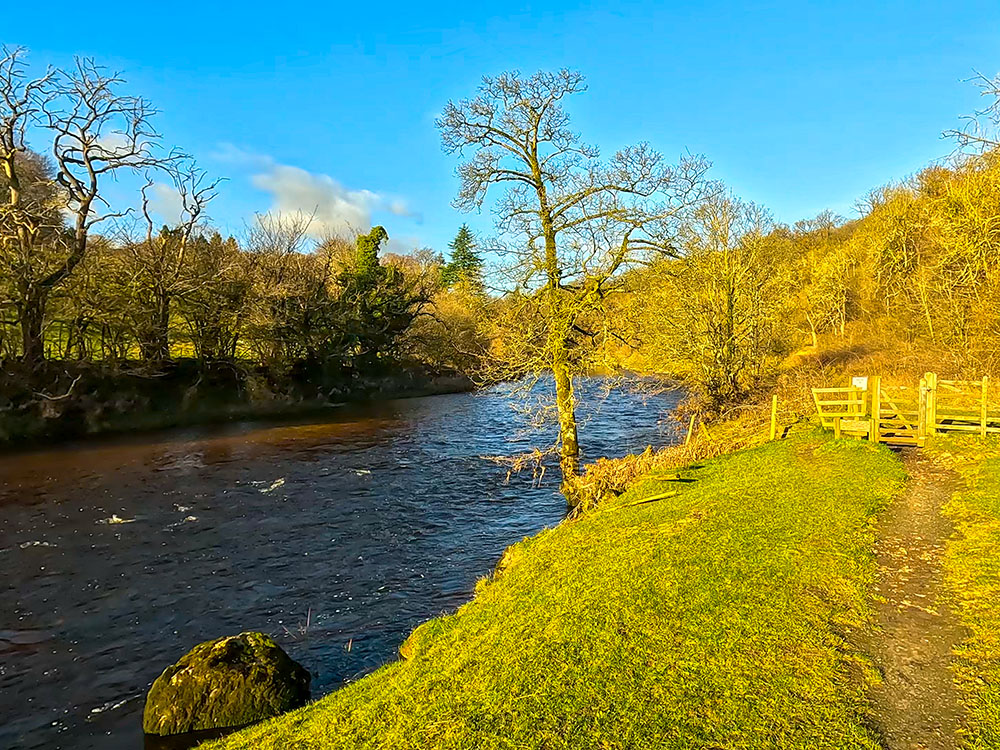 The path heading into Lower Grass Wood alongside the River Wharfe