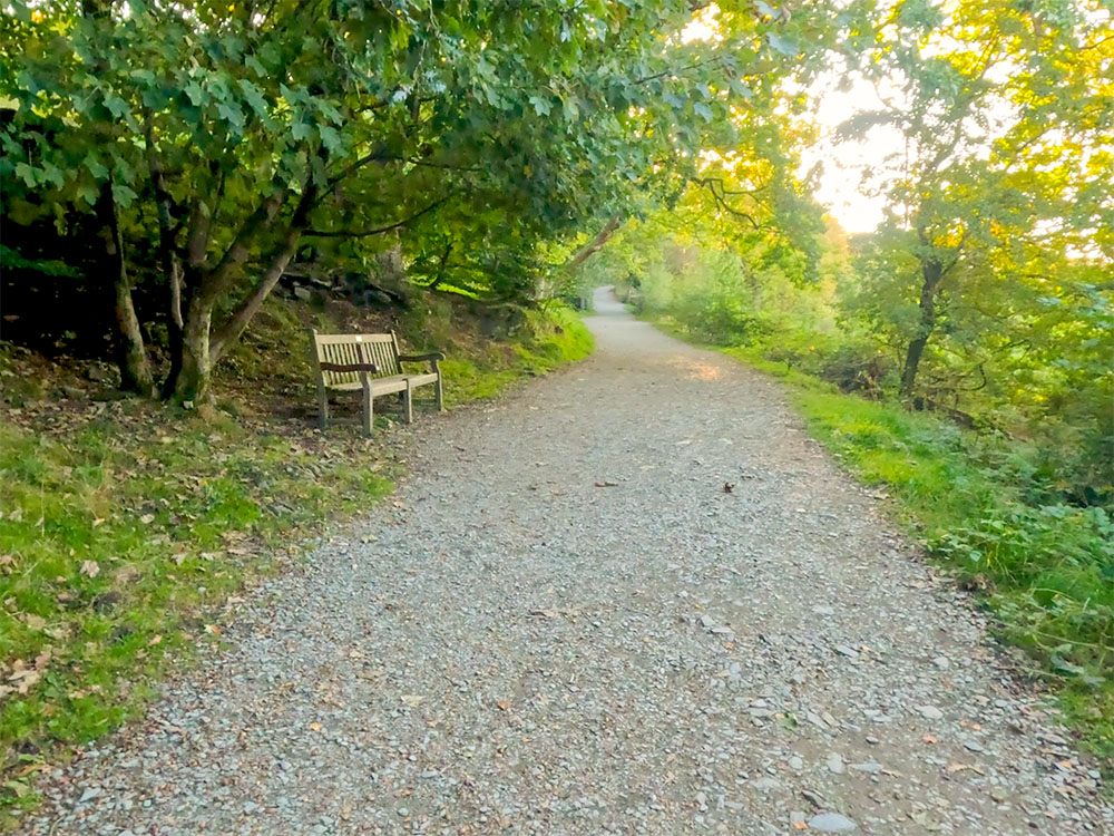 Another bench alongside the Miles without Stiles Orrest Head footpath