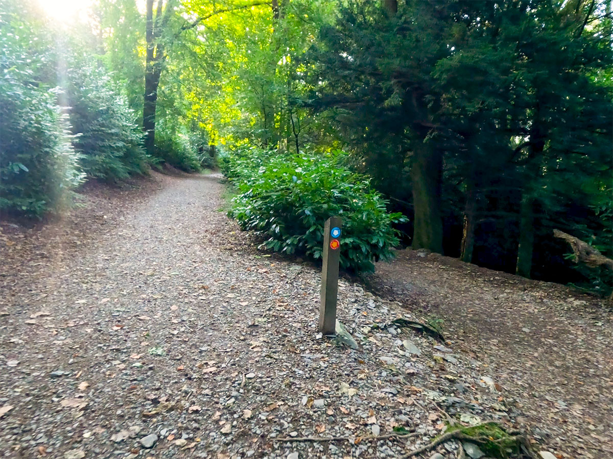 At the next wooden waymarker, the blue sign keeps straight on, while the red path heads to the right