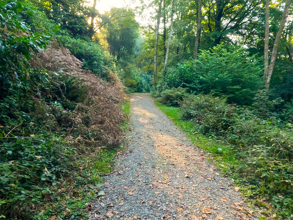 Heading down the gravelled track through Elleray Wood