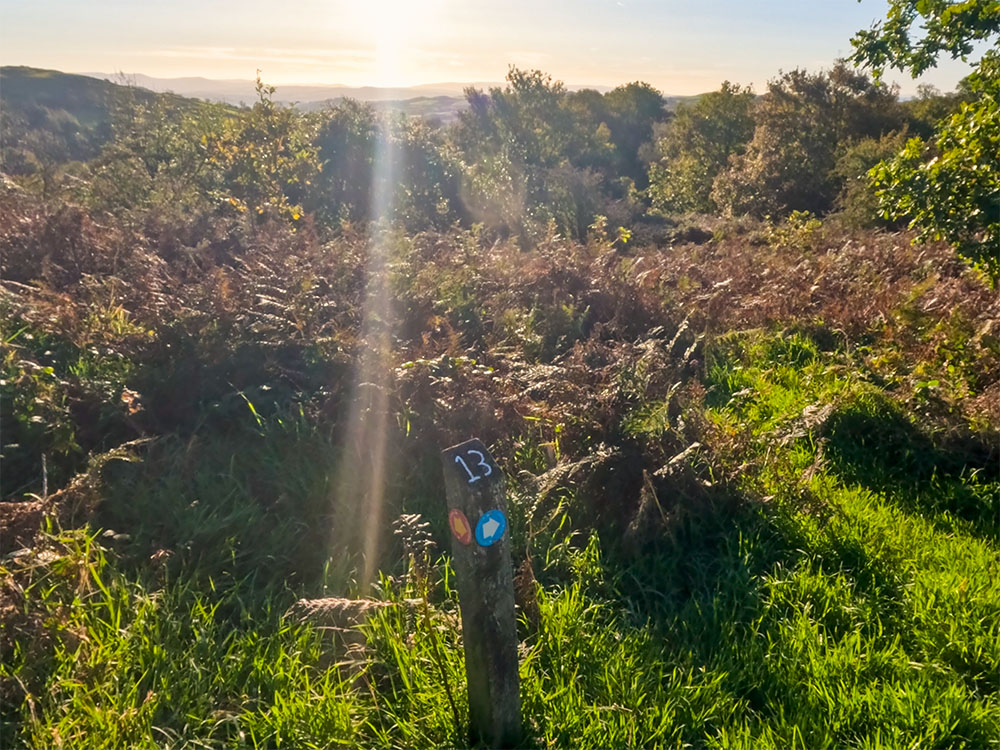 The number 13 wooden waymarker with the blue arrow - the nearest one to the summit of Orrest Head