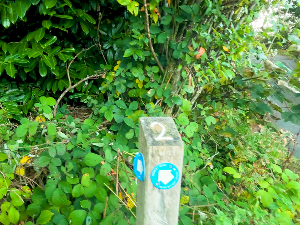 Number 2 wooden waymarker, with the blue arrow following the Miles Without Stiles path