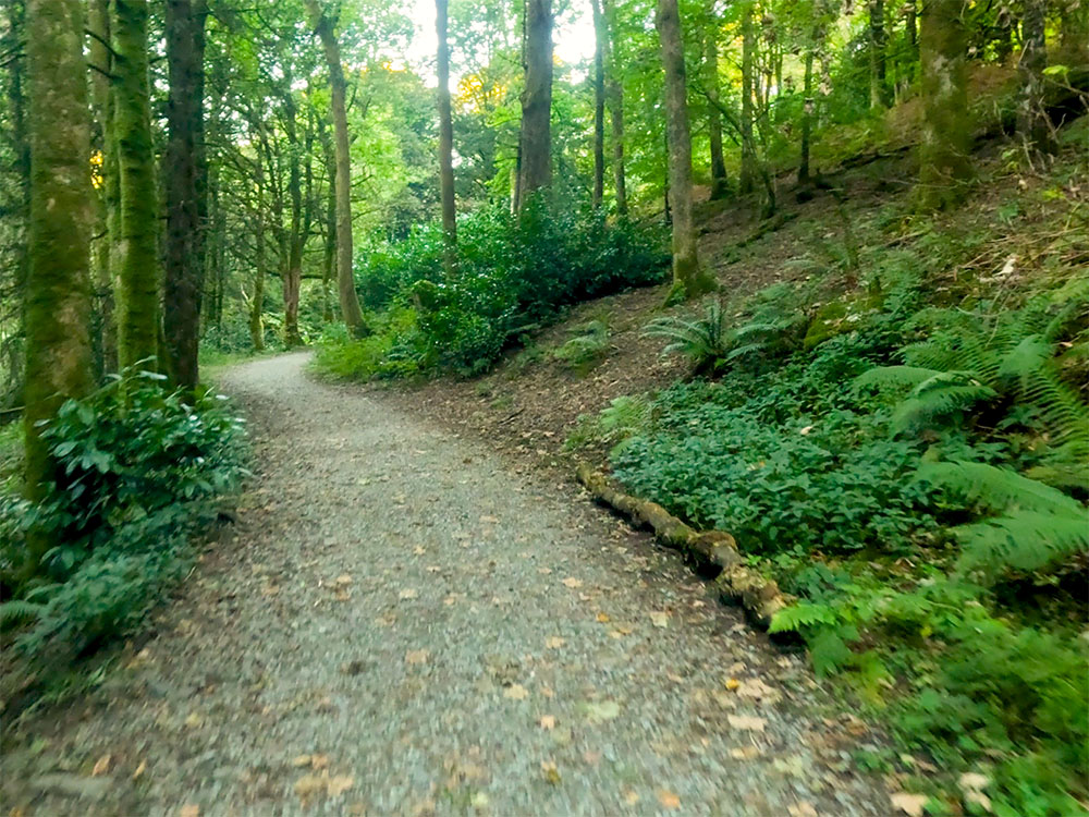 The Orrest Head footpath through Elleray Wood