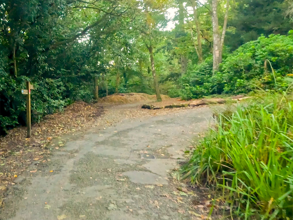 At the signpost, the Orrest Head path heads left away from the road