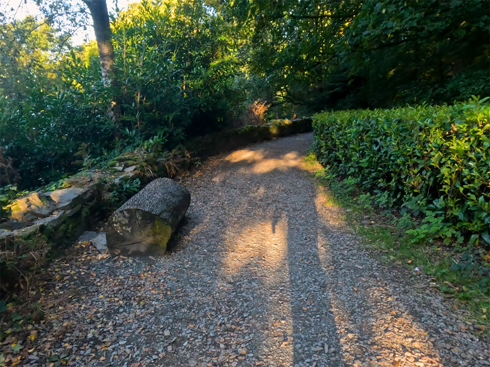 Passing back by the money log