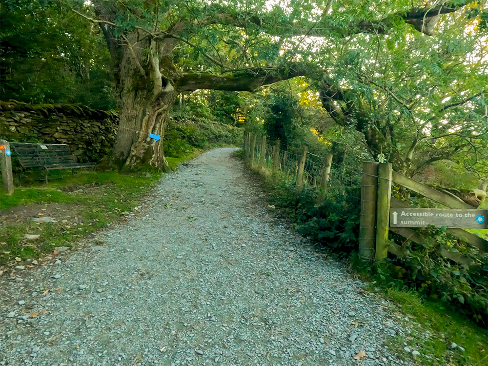 Passing by more blue waymarker arrows on the way to Orrest Head