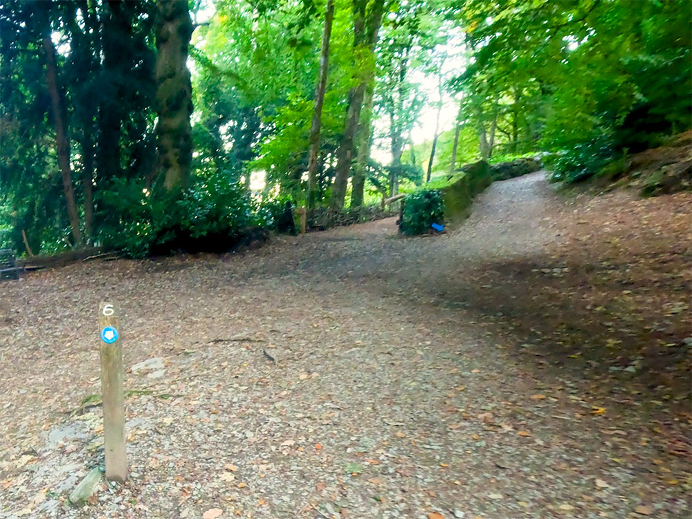 At signpost number 6, the Miles Without Stiles Orrest Head path heads to the right of the wall ahead