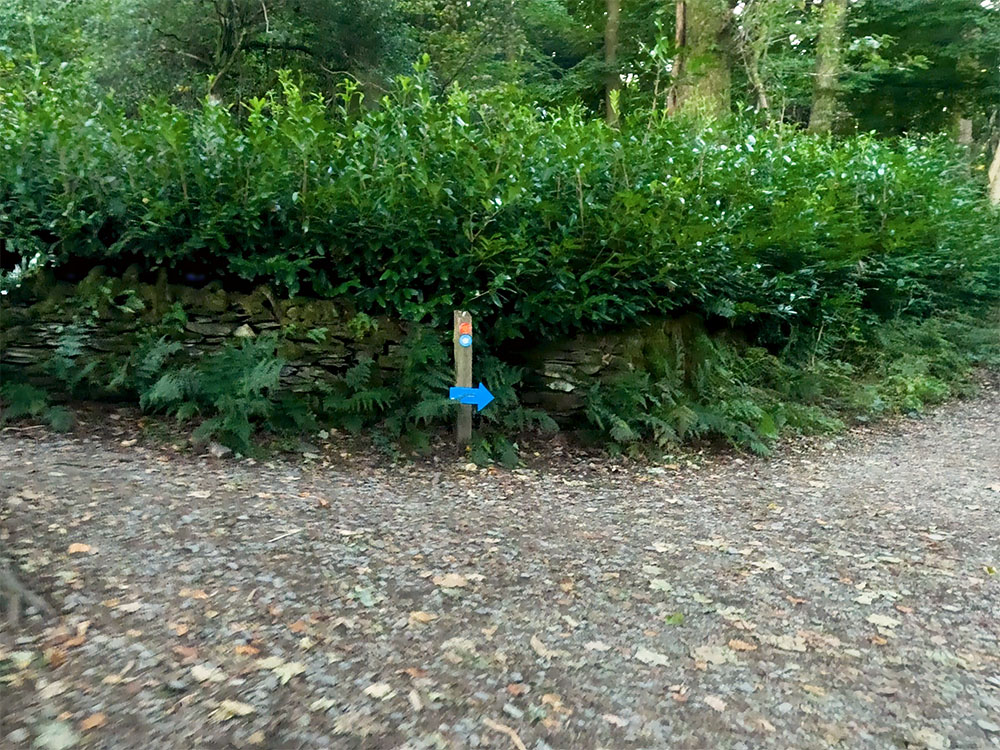 At the next signpost, the blue route heads to the right, while the shorter, rougher red route heads to the left