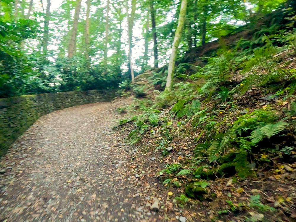 The Orrest Head footpath continues by the side of the wall through Elleray Wood