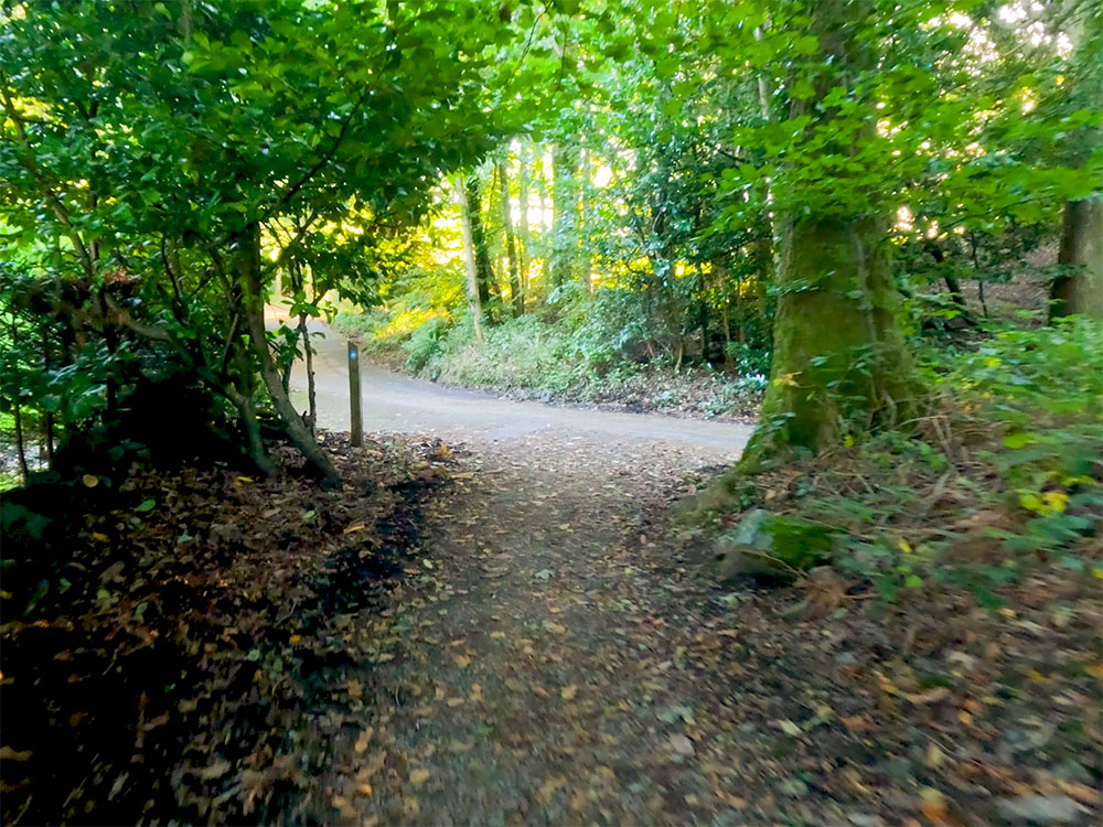 Upon meeting the road, the path heads left