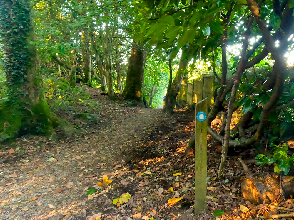 Turn right off the road, following the blue arrow on waymarker number 3