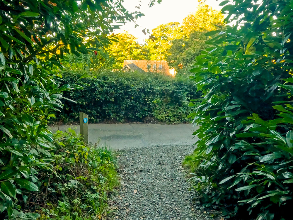 Turn right upon meeting the lane