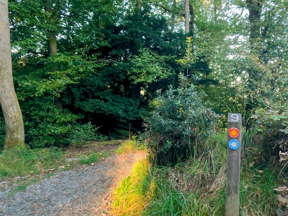At waymarker number 9, the blue Miles Without Stiles path heads around to the left, whilst the red path takes the more direct route back down