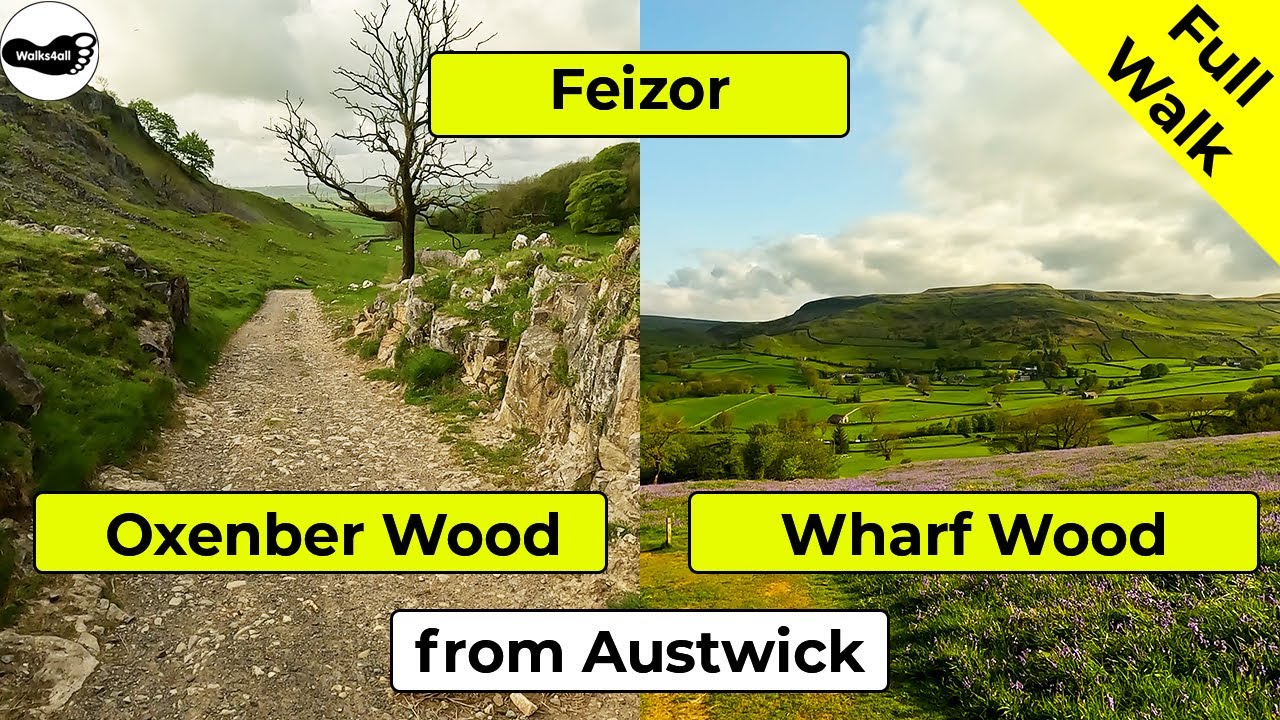 Video: Oxenber Wood, Wharf Wood and Feizor walk from Austwick