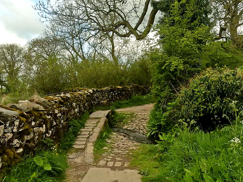 Footbridge on Hale Lane