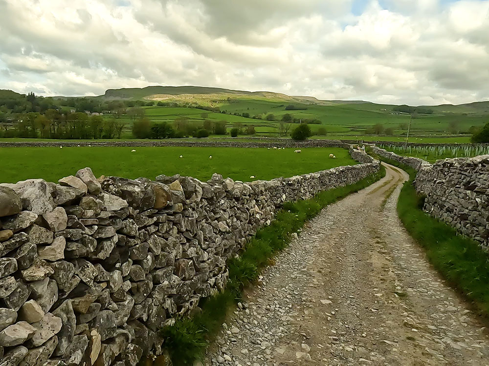 Heading back towards Austwick with Norber and Robin Proctor's Scar ahead on the horizon