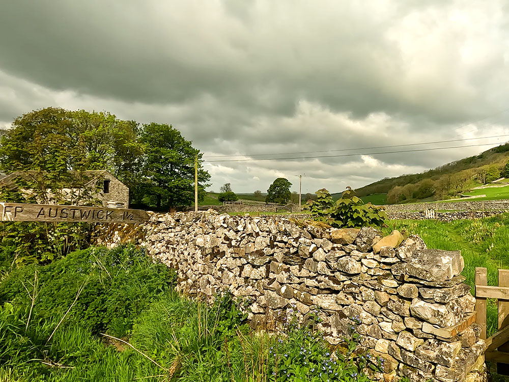 Looking along the alternative footpath route back to Austwick from Feizor