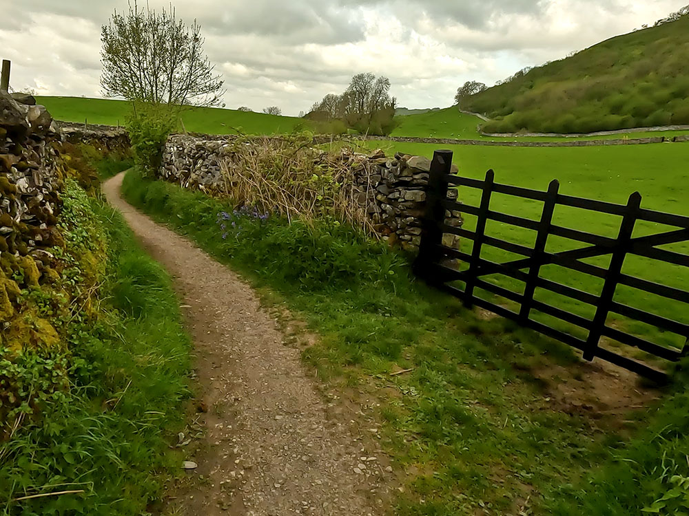 Looking over a gate from Hale Lane towards Oxenber Wood