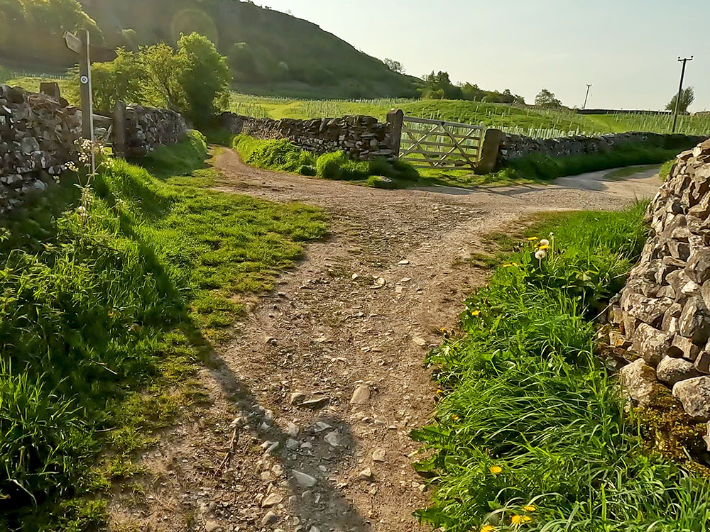 Path junction with Wood Lane (track)