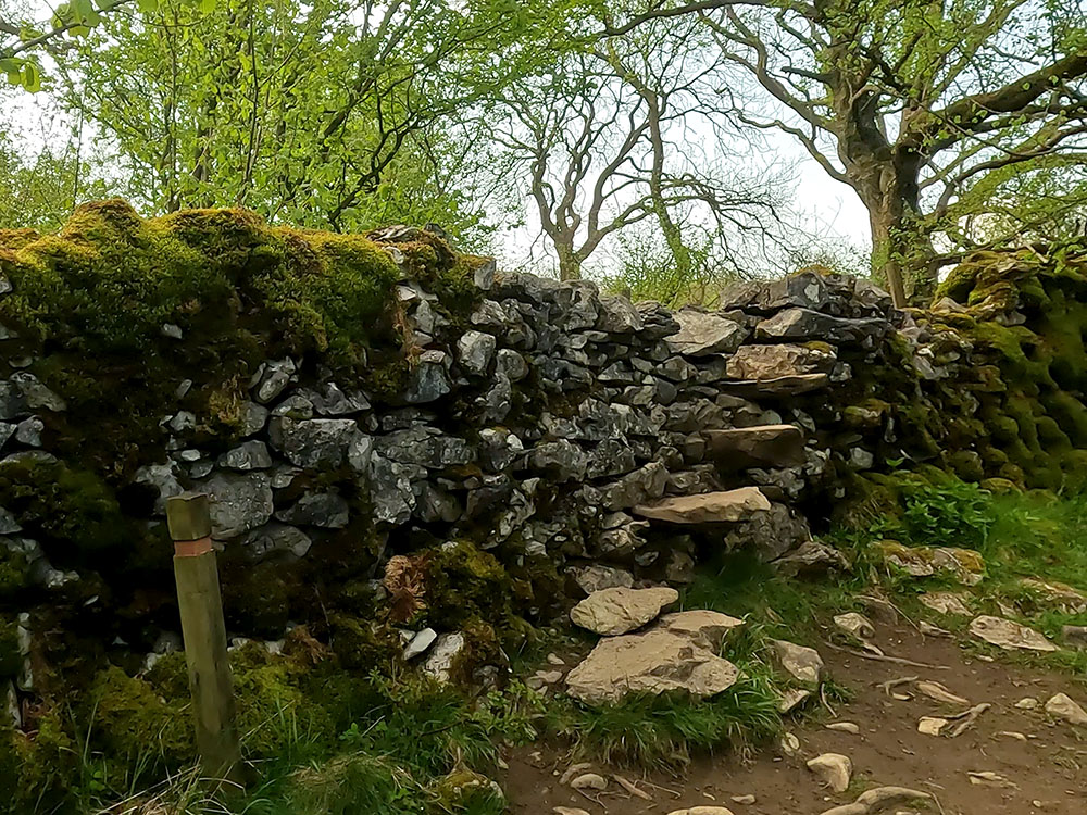 Wall stile between Oxenber Wood and Wharfe Wood