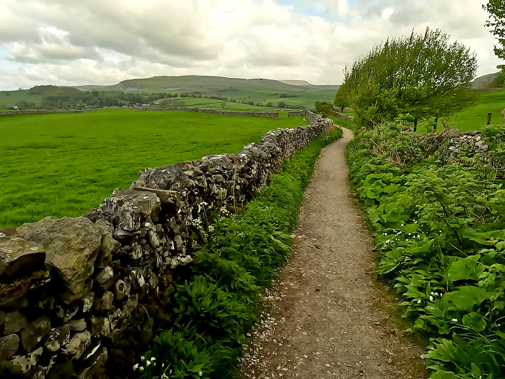 Walled path heading back towards Austwick
