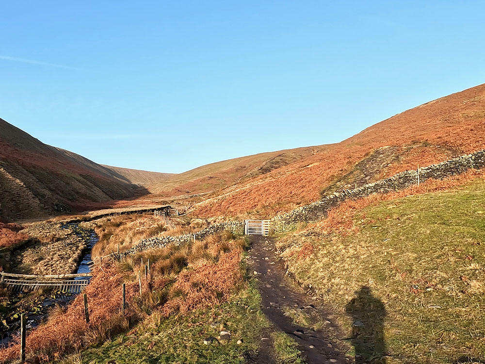 Gate through which Pendle Way path heads up diagonally right