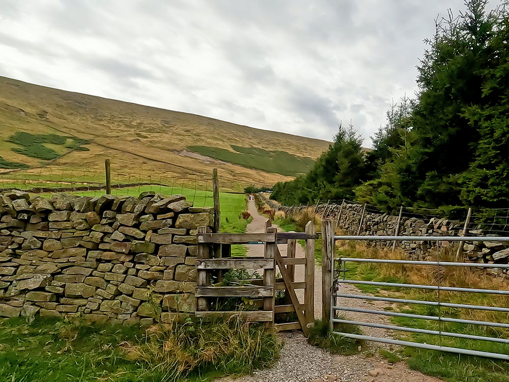 Kissing gate and gravel path heading alongside field looking towards Pendle Hill
