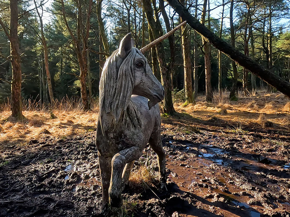 Unicorn in the Pendle Sculpture Trail