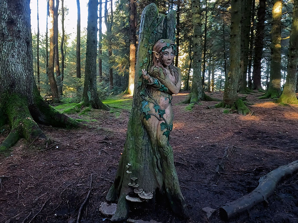 Dryad in the Pendle Sculpture Trail
